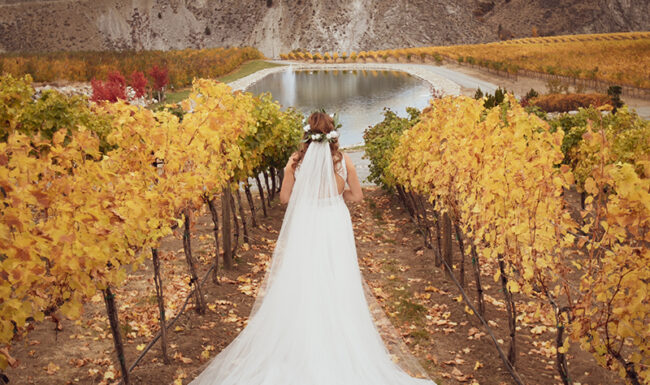 Bride in a fall vineyard