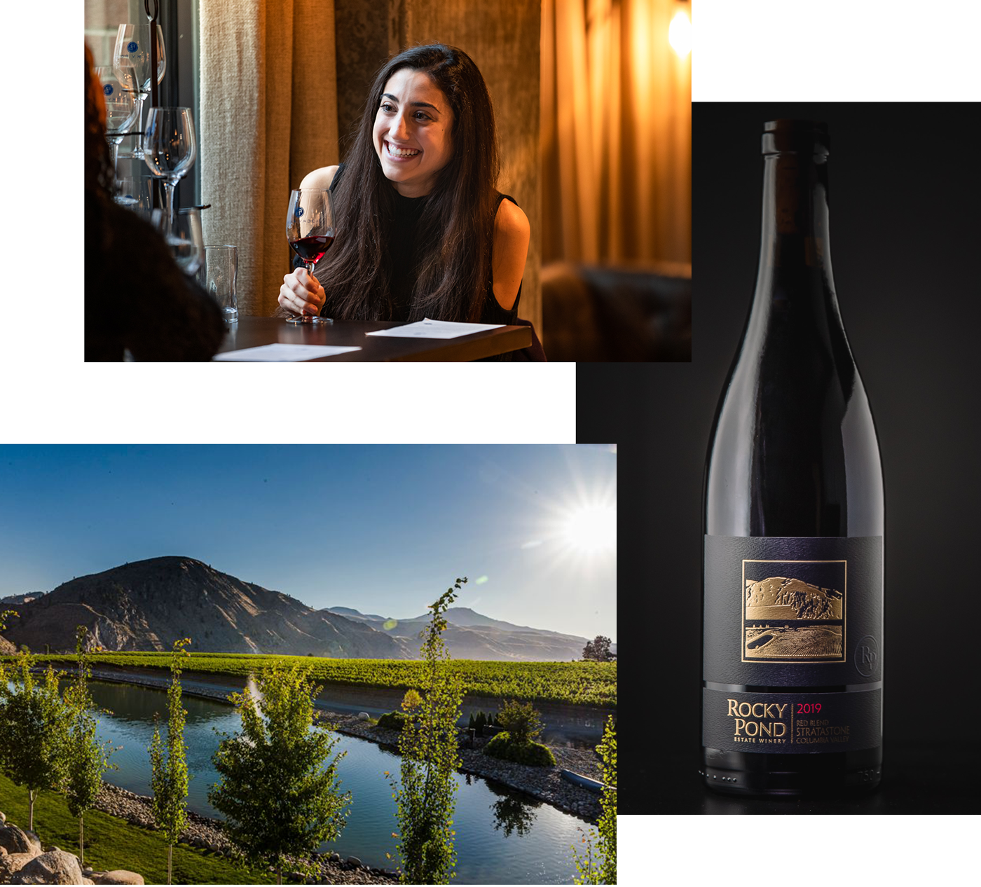 Rocky Pond bottle, vineyards, and guest enjoying wine